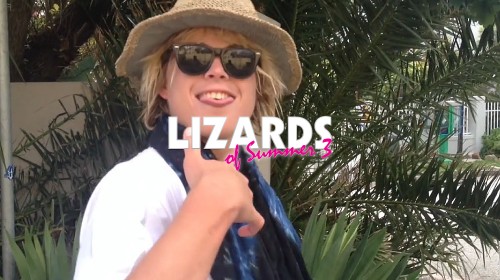 Lizards of Summer what youth surfing