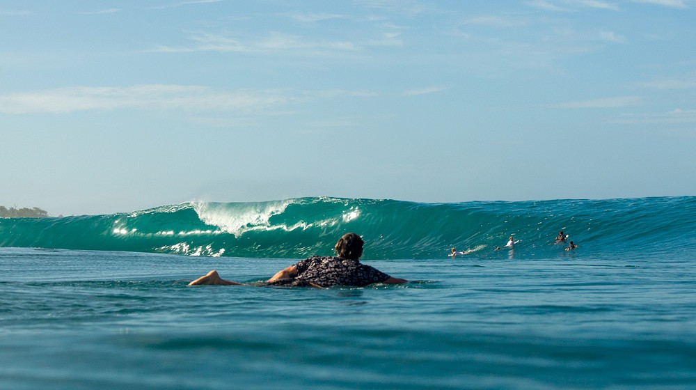 Indonesia, mitch coleborn chippa wilson what youth