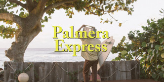 palmera express by vissla on what youth