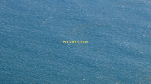 Postcard Oregon what youth surfing skateboarding