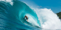 what youth recommends jack freestone