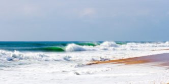 Mick Fanning, Lineup