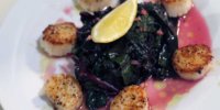 what youth eats seared scallops