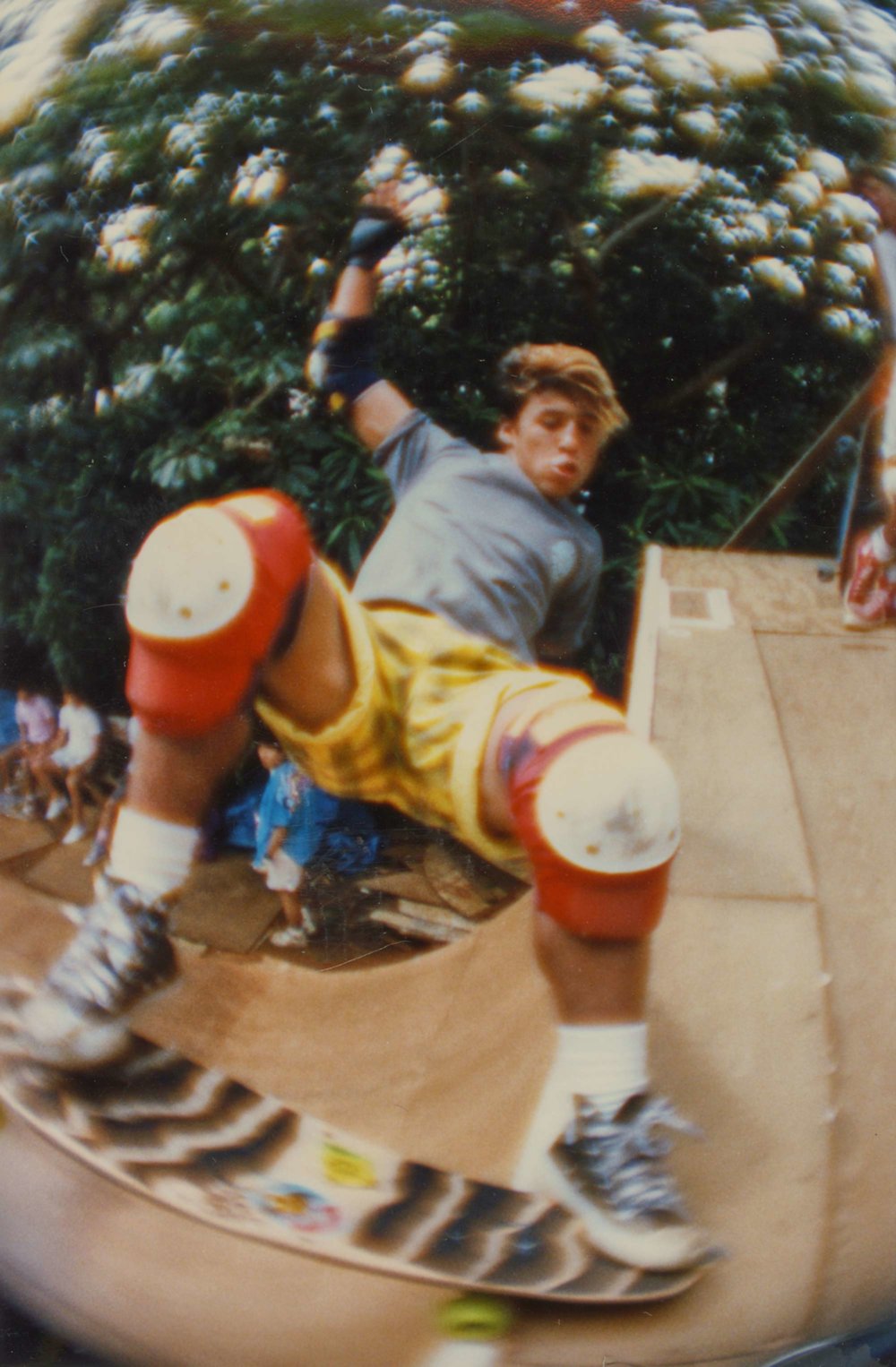 what youth steve caballero back den with mark oblow